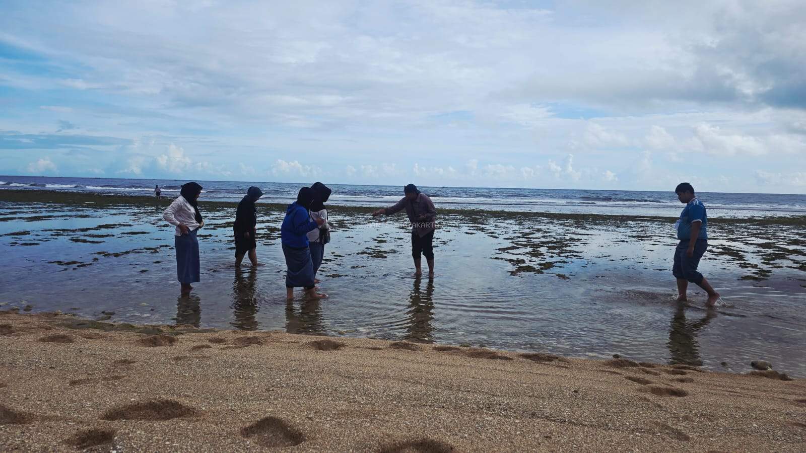 STARLING MAN 2 Yogyakarta Turun ke Pantai Sepanjang, Perkuat Riset Ekosistem Pesisir Berbasis Lapangan